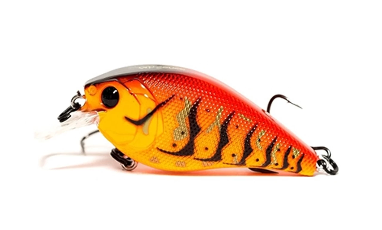 6th Sense Crush 50X 3 6th Sense Crush 50X