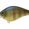 Lucky Craft FAT BDS 2 Crankbait 1 Lucky Craft FAT BDS 2 Crankbait -Fishing Supplies Store be gill 68100.1671822222
