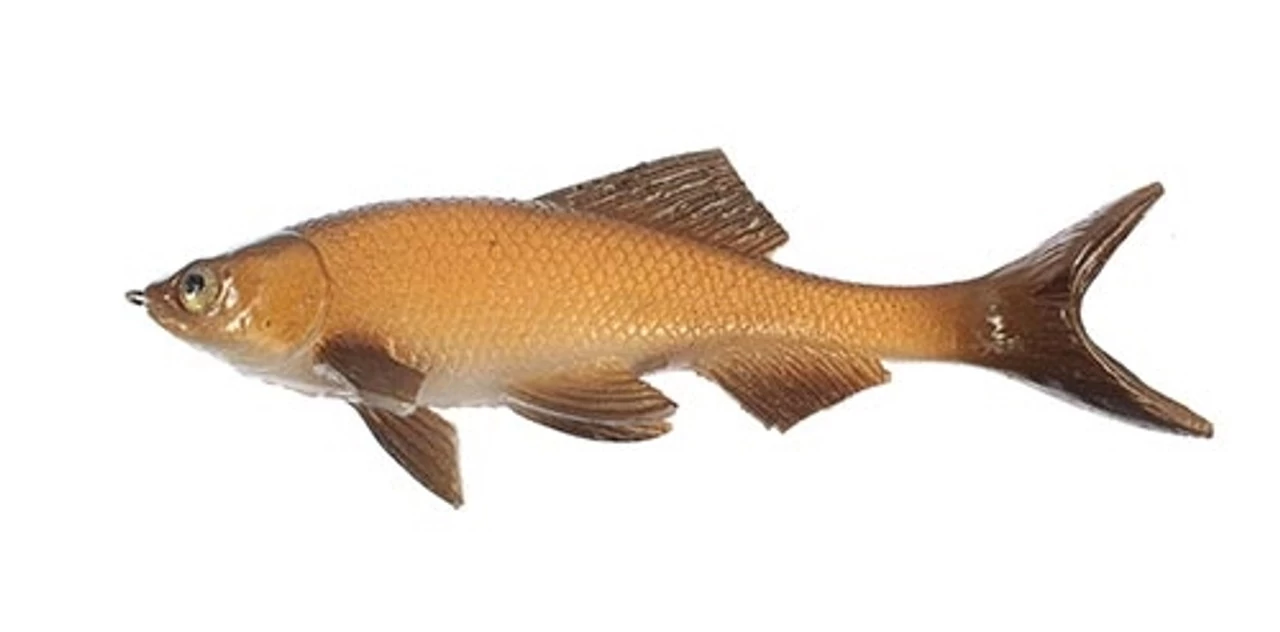 JSJ Baits Weedless Hitch 6 Swimbait 3 JSJ Baits Weedless Hitch 6 Swimbait