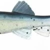Little Creeper Trash Fish 4" 1 Little Creeper Trash Fish 4" -Fishing Supplies Store littlecreeper trashfish4 2 15080.1627946149