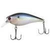 Lucky Craft FAT BDS 3 Crankbait -Fishing Supplies Store luckycraft bds3 2 07772.1627947356
