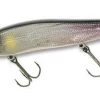 Megabass Vision 110 +1 Jerkbait 1 Megabass Vision 110 +1 Jerkbait -Fishing Supplies Store megabass vision 110plus 2 92672.1627947624