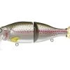 River2Sea Tactical Wake 210 Wake Bait -Fishing Supplies Store rainbow trout 97308.1658960799