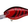 Strike King KVD 1.5 Deep Squarebill Crankbait 1 Strike King KVD 1.5 Deep Squarebill Crankbait -Fishing Supplies Store sk kvdddsb 2 52140.1628034072