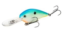 Strike King KVD Flat Side Crankbait 5 Strike King KVD Flat Side Crankbait -Fishing Supplies Store strikeking kvdflatcrank 2 41138.1628118215