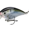 Strike King KVD 8.0 Magnum Crankbait 1 Strike King KVD 8.0 Magnum Crankbait -Fishing Supplies Store strikeking kvdm8 2 96390.1628101810