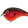 Strike King Chick Magnet Flat Side -Fishing Supplies Store tomato soup 69488.1653348661